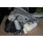 Silk'S & Wool'S 20 gris clair