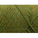 Arwetta classic 809 avocat (chiné)