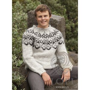 Pull Sjón gris M/L