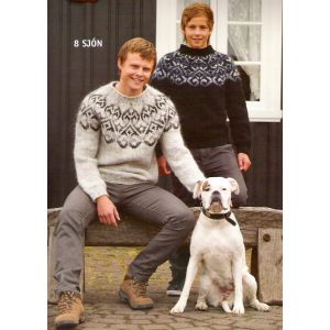 30-06 Sjón - Pull Homme Alafosslopi