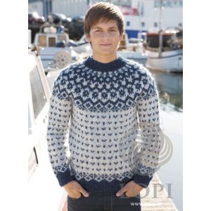 Vetur S, M, L gris clair / bleu