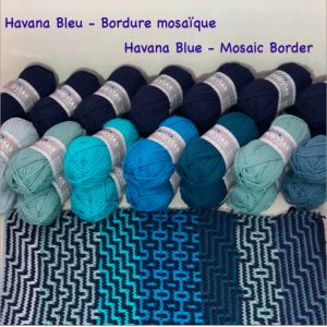 Hvana Blue MOSAIC border 