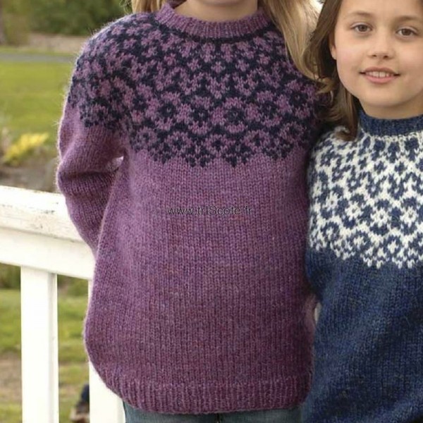 Pull L violet 14 ans trIScote