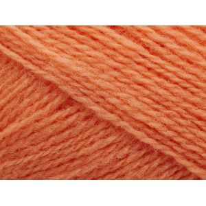 Saga 254 corail