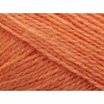 Saga 254 corail