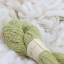 Hespa cerfeuil sauvage S-50