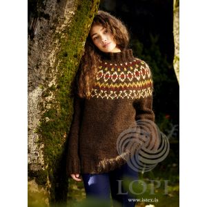 37-04 Hvammur ANGLAIS - Pull Mixte en Alafosslopi