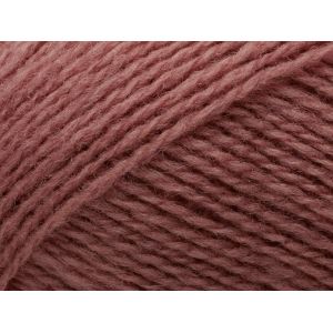Saga 373 vintage rose