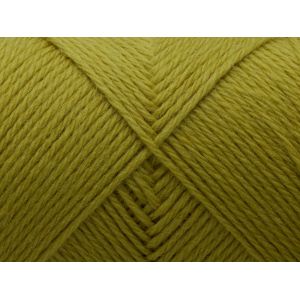 Arwetta classic 379 Sprout
