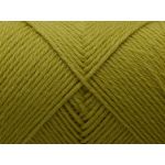 Arwetta classic 379 Sprout